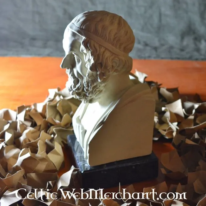 Homerus Buste 2 Homerus Buste - Afbeelding 2