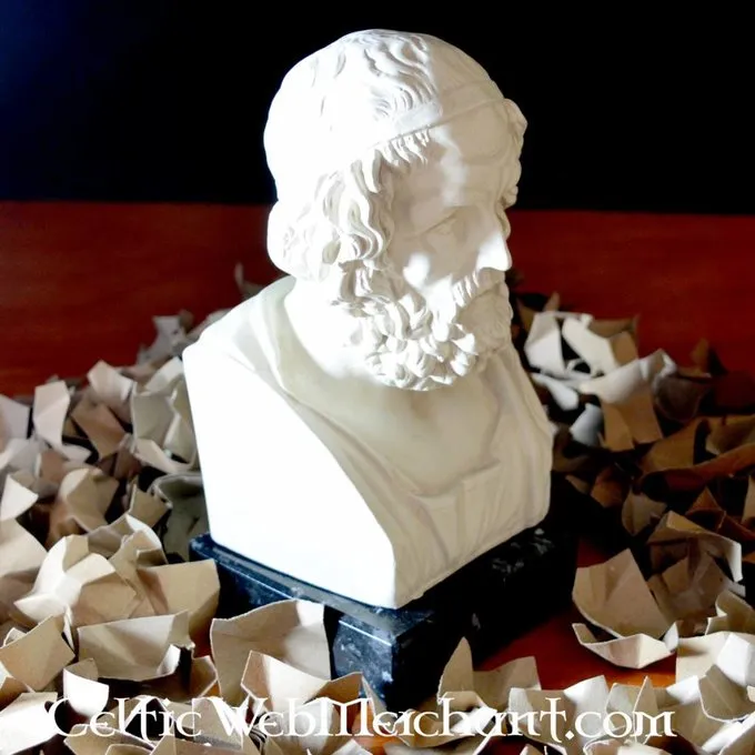 Homerus Buste 5 Homerus Buste - Afbeelding 5